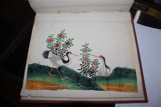 A 19th century Chinese album of 14 paintings on pith paper, birds and figures